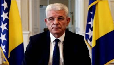 Эксперт по антитеррору рассказал, как бошнякский член Президиума... - politnavigator.net - Россия - Сербия