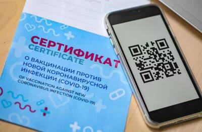 О QR-коде - начистоту! Нарушаются ли права ульяновцев - ulpravda.ru - Россия - Ульяновск - Ульяновская