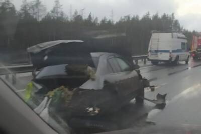 Ехали закапывать труп, но попали в ДТП: изуродованное тело мужчины выпало из багажника авто после аварии под Всеволожском - ivbg.ru - Украина - Ленинградская обл. - Санкт-Петербург - р-н Всеволожский - Ереван - р-н Калининский - Всеволожск