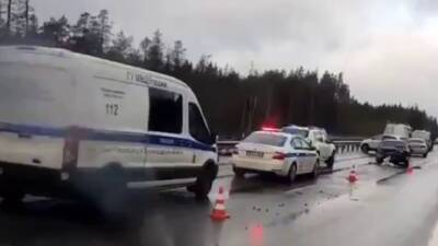 Задержаны злоумышленники, бросившие тело убитого на трассе под Питером - vesti.ru - Ленинградская обл.