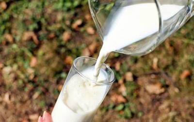 Производство молока в Украине сокращается - эксперт - korrespondent.net - Украина