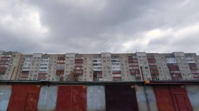 Друг зарезал друга? Жуткие подробности гибели мужчины, чье тело нашли на трассе в Ленобласти - 5-tv.ru - Ленинградская обл. - Санкт-Петербург - Следственный Комитет