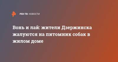 Вонь и лай: жители Дзержинска жалуются на питомник собак в жилом доме - ren.tv - Дзержинск - Нижегородская обл.