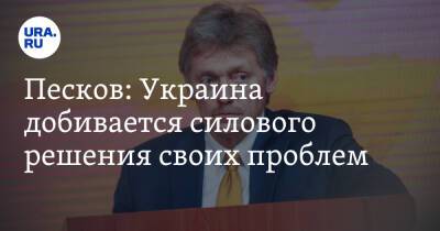 Дмитрий Песков - Песков: Украина добивается силового решения своих проблем. Видео - ura.news - Москва - Россия - Украина
