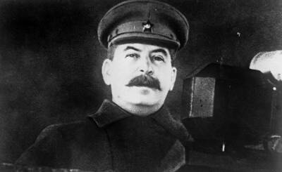 Иосиф Сталин - «Темные страницы» биографии Сталина: его любимая дочь сбежала в США, а сын остался в немецком плену (Sasapost, Египет) - inosmi.ru - Россия - США - Египет - Германия