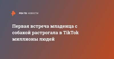 Первая встреча младенца с собакой растрогала в TikTok миллионы людей - ren.tv