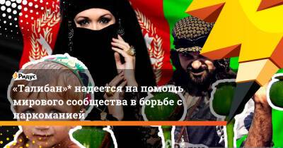 «Талибан»* надеется на помощь мирового сообщества в борьбе с наркоманией - ridus.ru - Афганистан - Кабул
