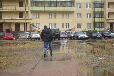 В Петербурге ожидается сильный ветер и похолодание - neva.today - Россия - Ленинградская обл. - Санкт-Петербург