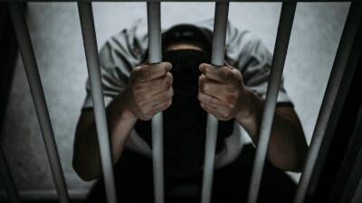 Голова на спине: страшные кадры с места ДТП в Ленобласти, где из багажника выпал мертвец - 5-tv.ru - Ленинградская обл. - Армения