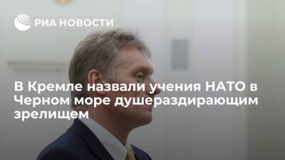 Дмитрий Песков - Павел Зарубин - Песков заявил, что учения НАТО в Черном море повлекут за собой самые серьезные последствия - ria.ru - Москва - Россия - Украина - Петропавловск-Камчатский - Черное Море