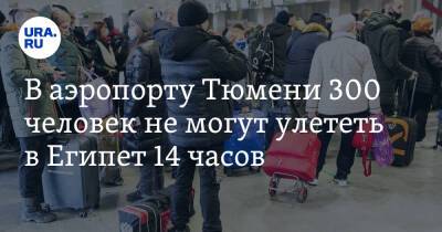 В аэропорту Тюмени 300 человек не могут улететь в Египет 14 часов. «Это просто издевательство» - ura.news - Египет - Тюмень