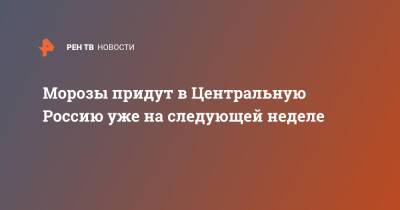 Евгений Тишковец - Морозы придут в Центральную Россию уже на следующей неделе - ren.tv - Россия