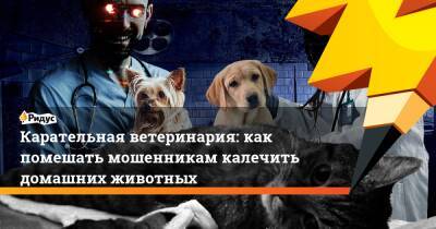 Карательная ветеринария: как помешать мошенникам калечить домашних животных - ridus.ru - Россия
