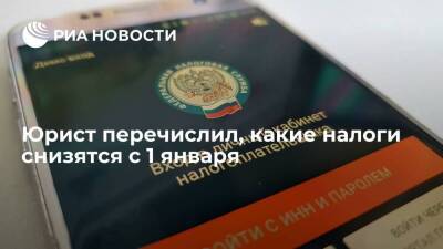 Иван Соловьев - Юрист Соловьев перечислил, какие налоги снизятся с 1 января - smartmoney.one - Россия