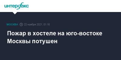 Людмила Нефедова - Пожар в хостеле на юго-востоке Москвы потушен - interfax.ru - Москва - Россия