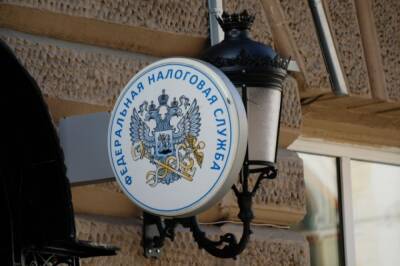 Даниил Егоров - В ФНС анонсировали отказ от декларации о доходах физических лиц 3-НДФЛ - aif.ru - Россия