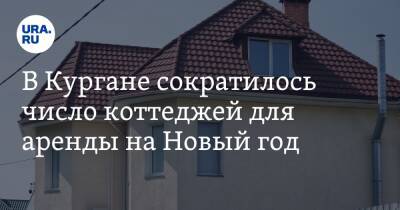В Кургане сократилось число коттеджей для аренды на Новый год - ura.news
