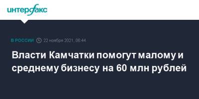 Власти Камчатки помогут малому и среднему бизнесу на 60 млн рублей - interfax.ru - Москва - Камчатский край