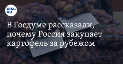 В Госдуме рассказали, почему Россия закупает картофель за рубежом - ura.news - Россия - Египет