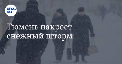 Тюмень накроет снежный шторм - ura.news - Тюмень - Тюменская обл.