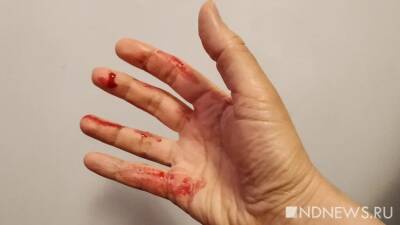 Задержанный после ДТП с трупом в багажнике признался в людоедстве - newdaynews.ru - Ленинградская обл.