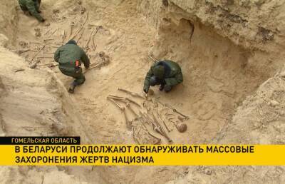 В Беларуси продолжают обнаруживать массовые захоронения жертв нацизма - ont.by - Белоруссия - Гомель