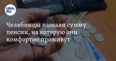 Челябинцы назвали сумму пенсии, на которую они комфортно проживут - ura.news - Челябинск