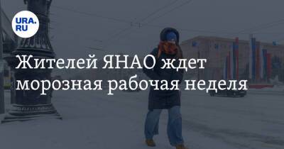 Жителей ЯНАО ждет морозная рабочая неделя - ura.news - окр. Янао