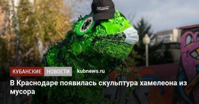 В Краснодаре появилась скульптура хамелеона из мусора - kubnews.ru - Краснодарский край - Краснодар
