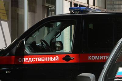 Россиянина посадили на семь лет за серию нападений на женщин в парке - lenta.ru - Россия - Новосибирск