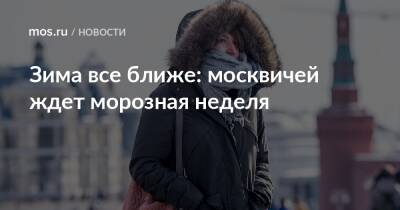 Зима все ближе: москвичей ждет морозная неделя - mos.ru - Москва