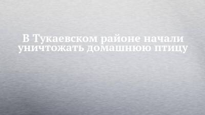 В Тукаевском районе начали уничтожать домашнюю птицу - chelny-izvest.ru - Казань