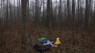 One-year-old Syrian child dies in forest on Poland-Belarus border - udf.by - Сирия - Belarus - Eu - Poland - Twitter