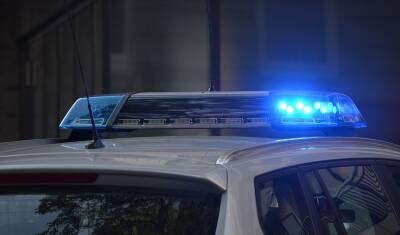 Пойманный в Петербурге мужчина с трупом в машине признался в каннибализме - nashgorod.ru - Ленинградская обл. - Санкт-Петербург