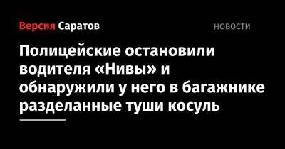 Полицейские остановили водителя «Нивы» и обнаружили у него в багажнике разделанные туши косуль - nversia.ru - Россия - Саратов