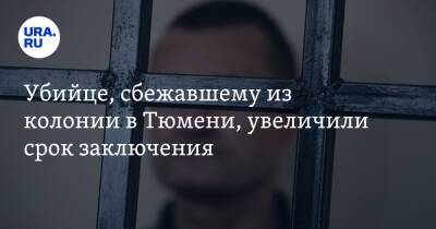 Александр Новиков - Убийце, сбежавшему из колонии в Тюмени, увеличили срок заключения. «Помутнение какое-то было» - ura.news - Кемеровская обл. - Тюмень - Тюменская обл. - Пермь