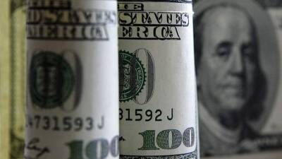 Анна Бодрова - Аналитик перечислила причины укрепления доллара - iz.ru - США - Израиль