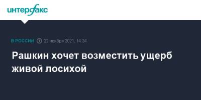 Валерий Рашкин - Рашкин хочет возместить ущерб живой лосихой - interfax.ru - Москва - Россия
