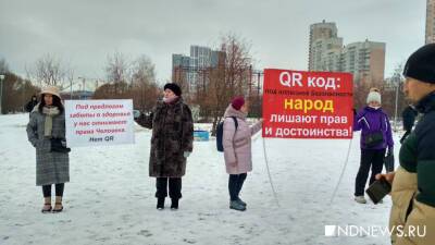 «Это хтонь русской души, и это может быть опасно для власти». Политологи рассуждают о будущем QR-протестов - newdaynews.ru
