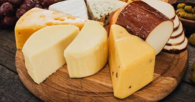 Покупаем сыр: как отличить качественный продукт от суррогата - ren.tv - Москва - Англия