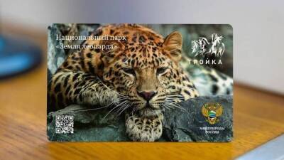Посвященные парку «Земля леопарда» лимитированные «Тройки» выпустили в столице - vm.ru - Москва - Приморье край