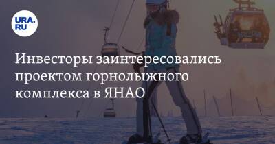 Инвесторы заинтересовались проектом горнолыжного комплекса в ЯНАО - ura.news - окр. Янао