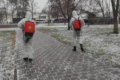 В Туле сотрудники МЧС обработали скверы и автовокзалы - tula.mk.ru - Россия - Тула - Тульская обл.