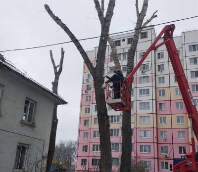 Почти 35 тысяч квадратных метров мелколесья убрали ульяновские службы - ulpravda.ru