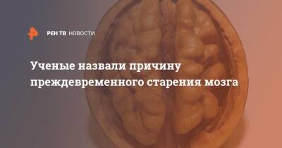 Ученые назвали причину преждевременного старения мозга - ren.tv - Бостон