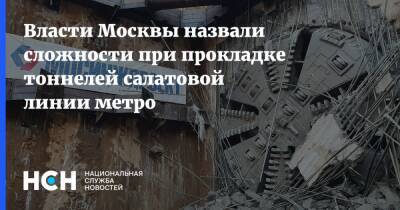 Андрей Бочкарев - Власти Москвы назвали сложности при прокладке тоннелей салатовой линии метро - nsn.fm - Москва - Строительство