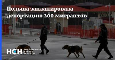 Анна Михальская - Польша запланировала депортацию 200 мигрантов - nsn.fm - Белоруссия - Ирак - Польша