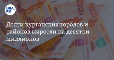 Долги курганских городов и районов выросли на десятки миллионов - ura.news - Курганская обл.