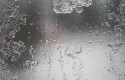 Мокрый снег и до -7℃ ночью: прогноз погоды на 23 ноября - ont.by - Белоруссия