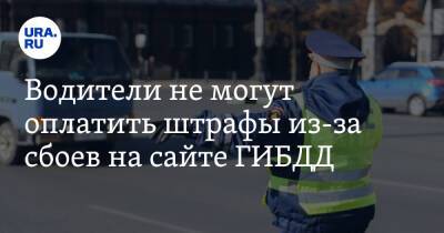 Владимир Путин - Вячеслав Володин - Водители не могут оплатить штрафы из-за сбоев на сайте ГИБДД. Скрин - ura.news - Россия